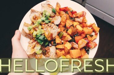 HELLOFRESH AS A COLLEGE STUDENT | #1 Meal Kit Delivery | Review