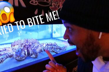 She Took Me To Her Favorite Restaurant | Burger & Lobster
