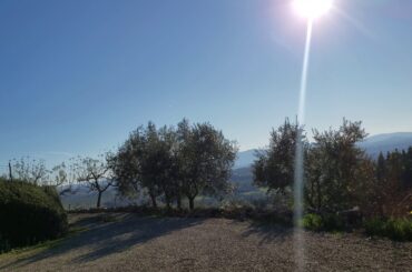 Tuscan winery(1)