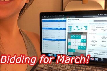 Reassigned | Bidding is Open for March | Flight Attendant Life