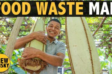 The FOOD WASTE MAN (Myanmar)