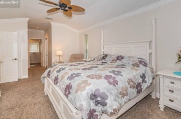 1700 Grand Central Dr, Tarpon Springs FL 34689, USA