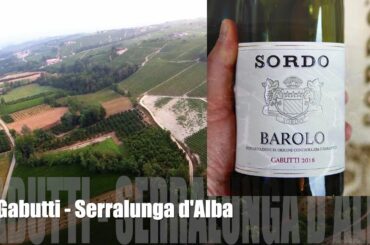 2016 Sordo Barolo Gabutti in 1 Min