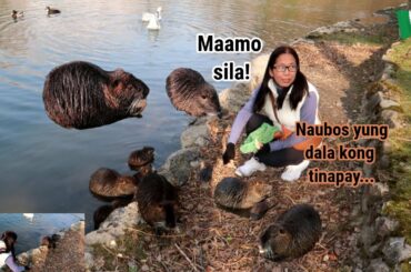 FIL - ITALIAN LIFE : BRINGING FOOD AND FEEDING CASTORINO IN THE SMALL LAKE / E Tells Vlogs