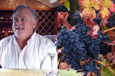 ZACCAGNINI MONTEPULCIANO D'ABRUZZO Rick Uncorked 365