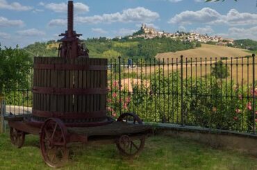 Ancient Seas, Beauty, and Passion Lead to Fine Wines at Hic et Nunc Winery