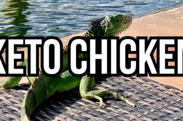 🇺🇸 Ketogenic Chicken with Lemon