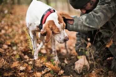 КАК НАЙТИ ТРЮФЕЛИ?