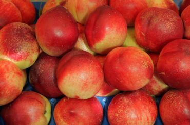 cu ld ripe nectarines in market venice italy