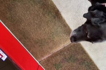 The reality of dining out in the dark! No blindfold and with the best company ever 👀