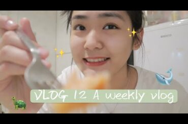 VLOG12 | A weekly vlog | shopping with me | what I eat in a week | my first 2020 vlog