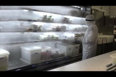 Positive Vibes | Restaurants provide zero-contact delivery service for hotpot lovers