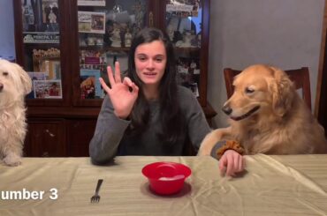 Guys grocery games italian project