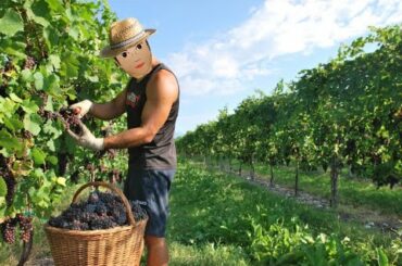 Cooking with Angelo Loverboy S1 E1 : Mac and cheese Italian style