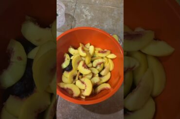 Claire Woodward International Pastry Italy day 2