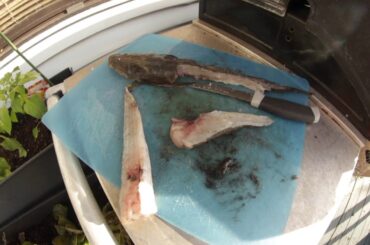 FLATHEAD CATCH AND COOK! THIS WAS THE BEST RECIPE IVE DONE!!!