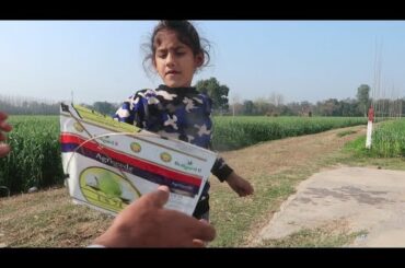 chutti  wale din a ni tik da