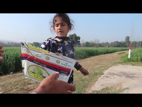 chutti wale din a ni tik da chutti wale din a ni tik da