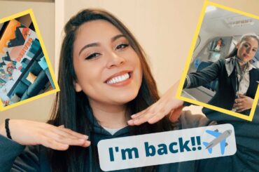 I'M BACK!! | FLIGHT ATTENDANT