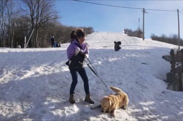 Visit Mottarone Park - Verbania - Piedmont - Italy - Alpyland