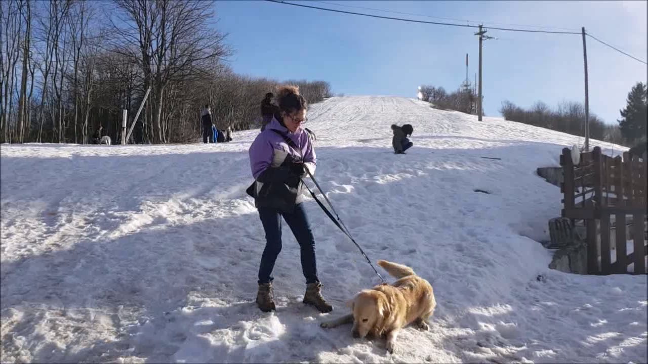 Visit Mottarone Park – Verbania – Piedmont – Italy – Alpyland Visit Mottarone Park - Verbania - Piedmont - Italy - Alpyland