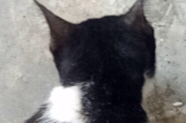 Lunch in Philippines