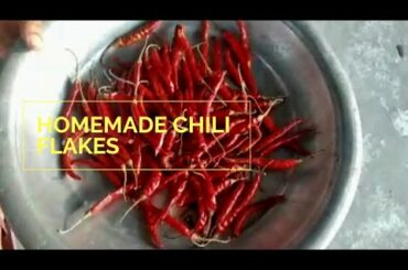 Italian,Chinese খাবারে ব্যবহারের জন্য Chilli Flakes তৈরি এবং ৫ বছর পর্যন্ত সংরক্ষণের পদ্ধতি🌶🌶🌶.