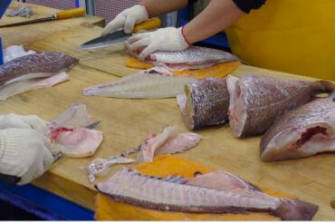 Great Skills Cutting Fish for Sashimi. Noryangjin Fish Market. Seoul Street Food, Korea