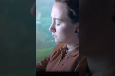 New italian vine 2017