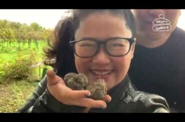 19 - Truffle Hunting, Tuscany | Đi đào nấm Truffle ở Tuscany, Ý
