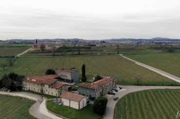 Vineyards Franciacorta, Italy