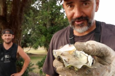 Wild Oyster Gather & Snapper Eat With Subscriber & Patron C West