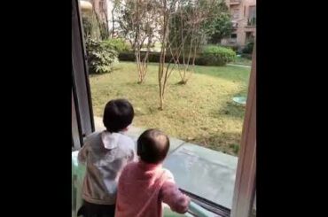 you can legally go shopping every two days. in areas with corona virus #wuhanvirus #coronavirus