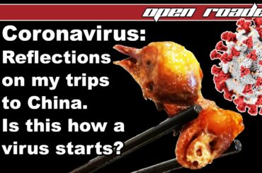 Coronavirus update from Italy | Reflections on my trips to China, how can a virus rise up?