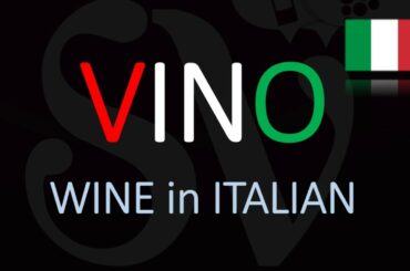 How to say wine in Italian | How to Pronounce Vino? | Translation