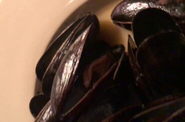 Authentic Italian food Alfredo pasta, smoke cheese rice balls, mussels and Eggplant pasta