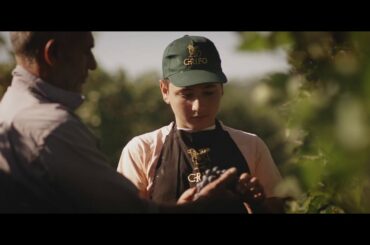 Crifo Wines - Apulia in the glass, since 1960.