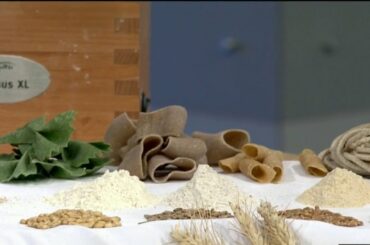 Hour Detroit's Restaurant of the year with Shewolf on Live in the D