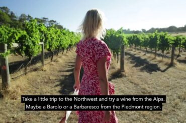 Italian Wine For Beginners — A Chat With Laura Maniec