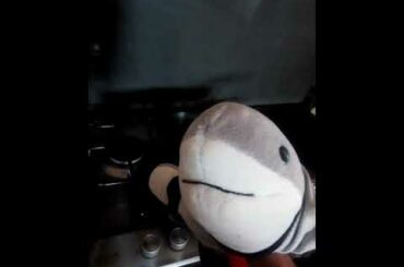 Guizzi & the italian cousin ._.