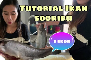 TUTORIAL MASAK IKAN 500RIBU 1EKOR || RICCIOLA PESCE || ITALIAN FOOD