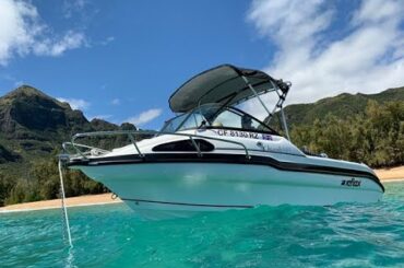 Reflex Boats Full Line at Fred Hall Boat Show by South Mountain Yachts