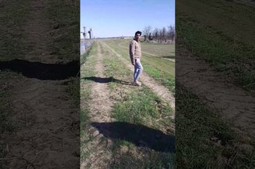 Italy ki nayharitaly,little italy,pendu boy,italy de kam,italy dairy farm,myself pendu,unan ki danki