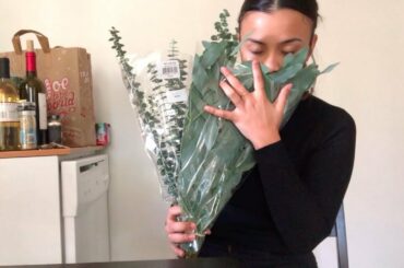 Quick Trader Joes Haul | Lots of Wine, Italian, and Eucalyptus!