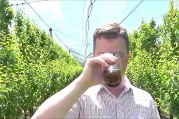 Piccolo Birrificio Clandestino La Fortezza Vecchia Barley Wine 9 | Italian Craft Beer Review