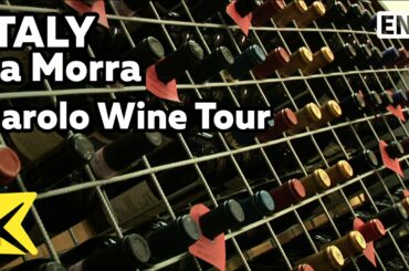 【K】Italy Travel-La Morra[이탈리아 여행-라모라]랑게, 바롤로 와인 투어/Barolo Wine Tour/Langhe/Winery/Vineyard/Oak