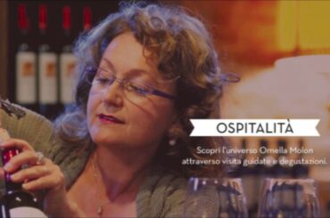 A chat with Loris Traverso about the Ornella Molon Traverso wines at Coco's Italian Market