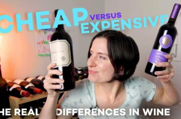 Cheap vs Expensive Wine - What You're Missing