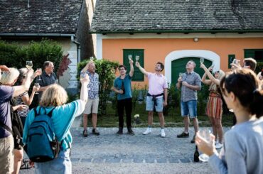 Half-Day Etyek Wine Region Tasting and Tour with Dinner near Budapest