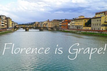 Florence is Grape - 5 best wine bars in Florence, Italy